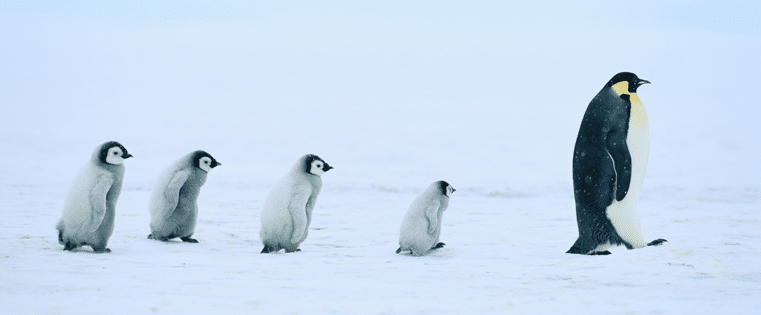 Rethinking Leadership for the Modern Age: Timeless Wisdom from Daniel Pink